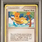 PSA 10 TROPICAL WIND WORLD CHAMPIONSHIPS