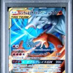PSA 10 RSHRM. & CHARIZARD GX TAG TEAM GX ALL STARS